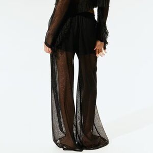 H&M Black sheer pants